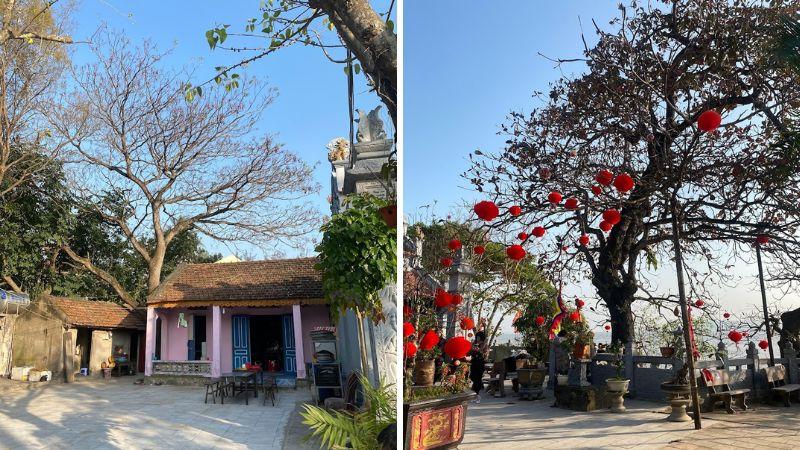 Đền Quang Trung gần biển Hải Hòa cũng là điểm check-in đặc biệt cho bạn